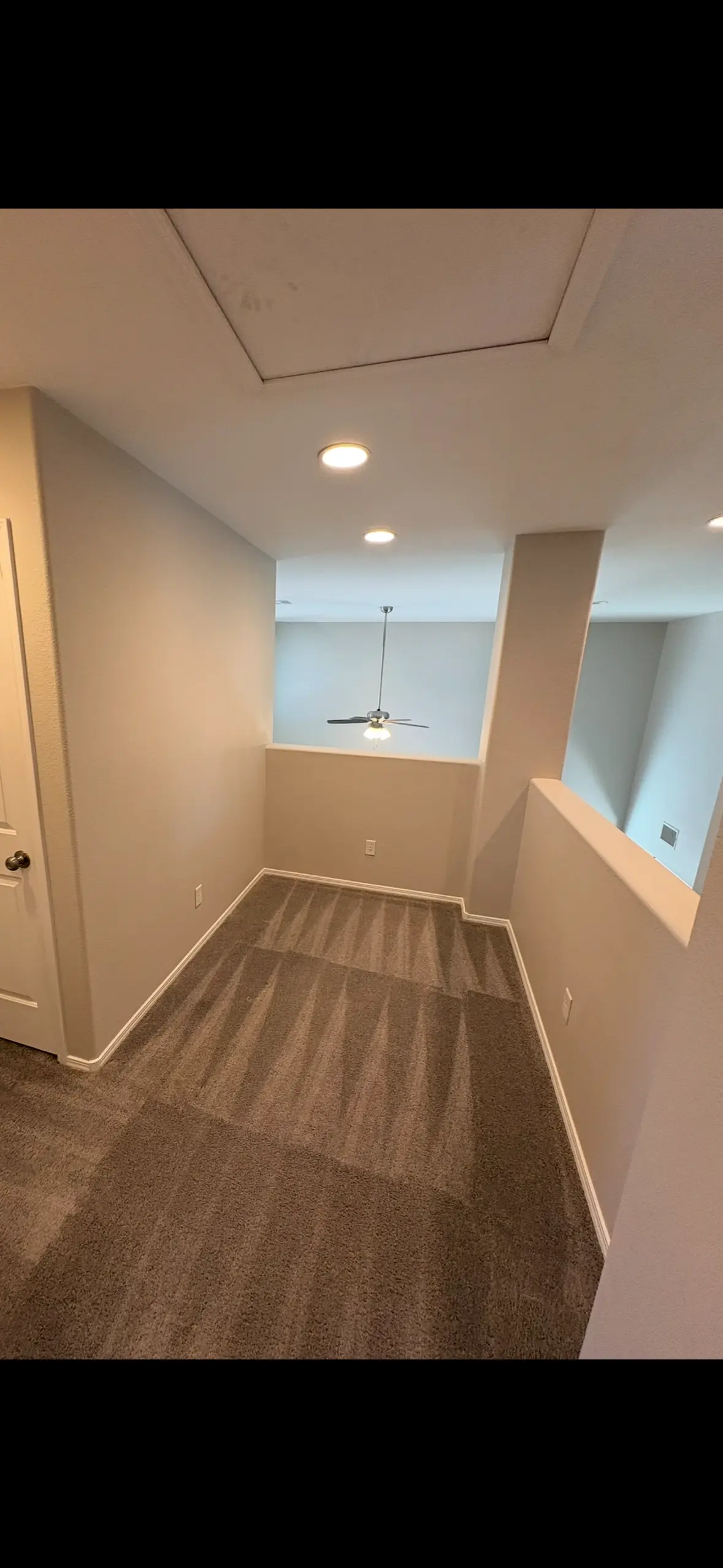 Carpet and upholstery cleaning